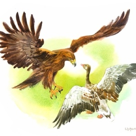 Горго и Акка