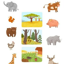 Развивашка