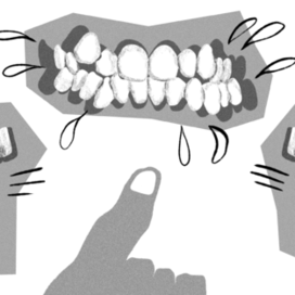 Иллюстрация для Журнала "Незнание"
