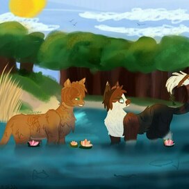 Коты в лесу