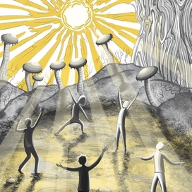 День, когда вышло солнце