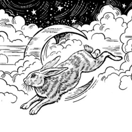 Лунный заяц