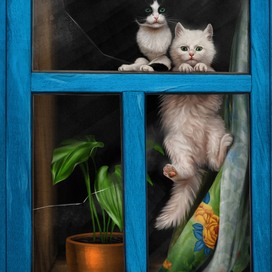 Котята в окне