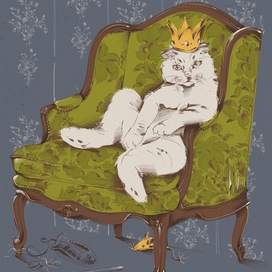 Котячья серия!