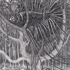 "Чёрная смотрит"