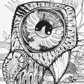 все хотят летать