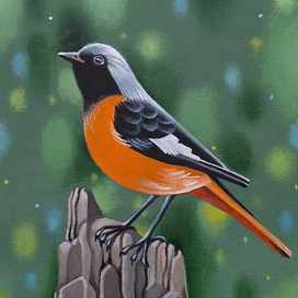 Горихвостка