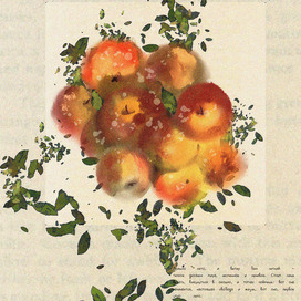 летние яблоки