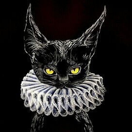 Черная кошка в жабо 