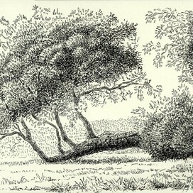 из серии "в Коломенском"