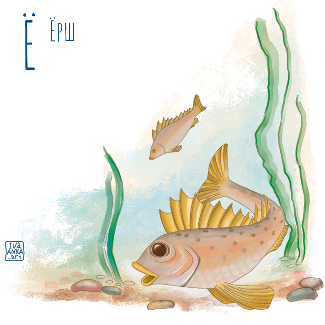 Ёрш. Иллюстрация для Азбуки. Издательство Русское слово