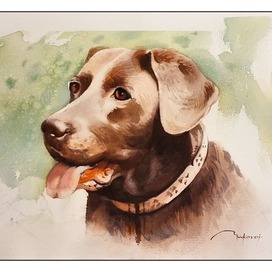 ,,Гав! Нарисуй меня,,