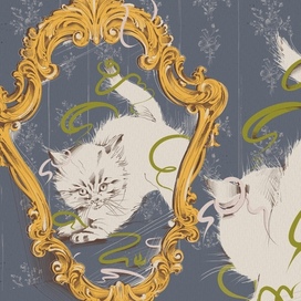 Котячья серия!