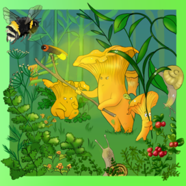 Сезон охоты на грибы