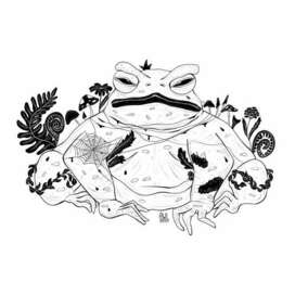 Лесная жаба — графичная иллюстрация природы