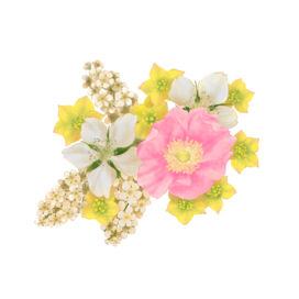 Разнотравье