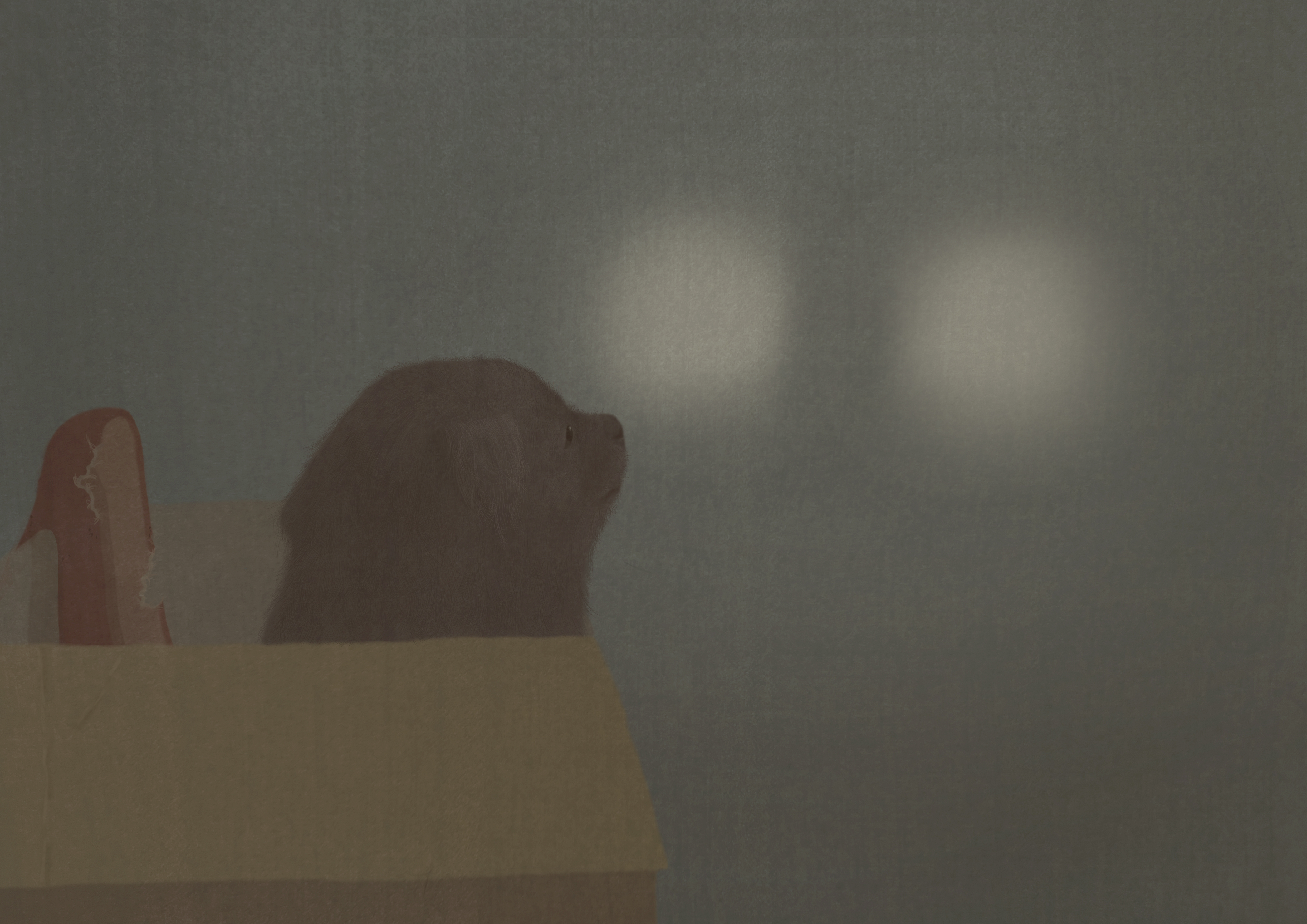 Иллюстрация к книге "Нина и я"