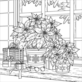 Пуансеттия. Раскраска для приложения