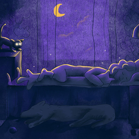 Спокойная ночь