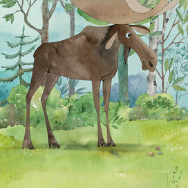 Заяц, длинный уши