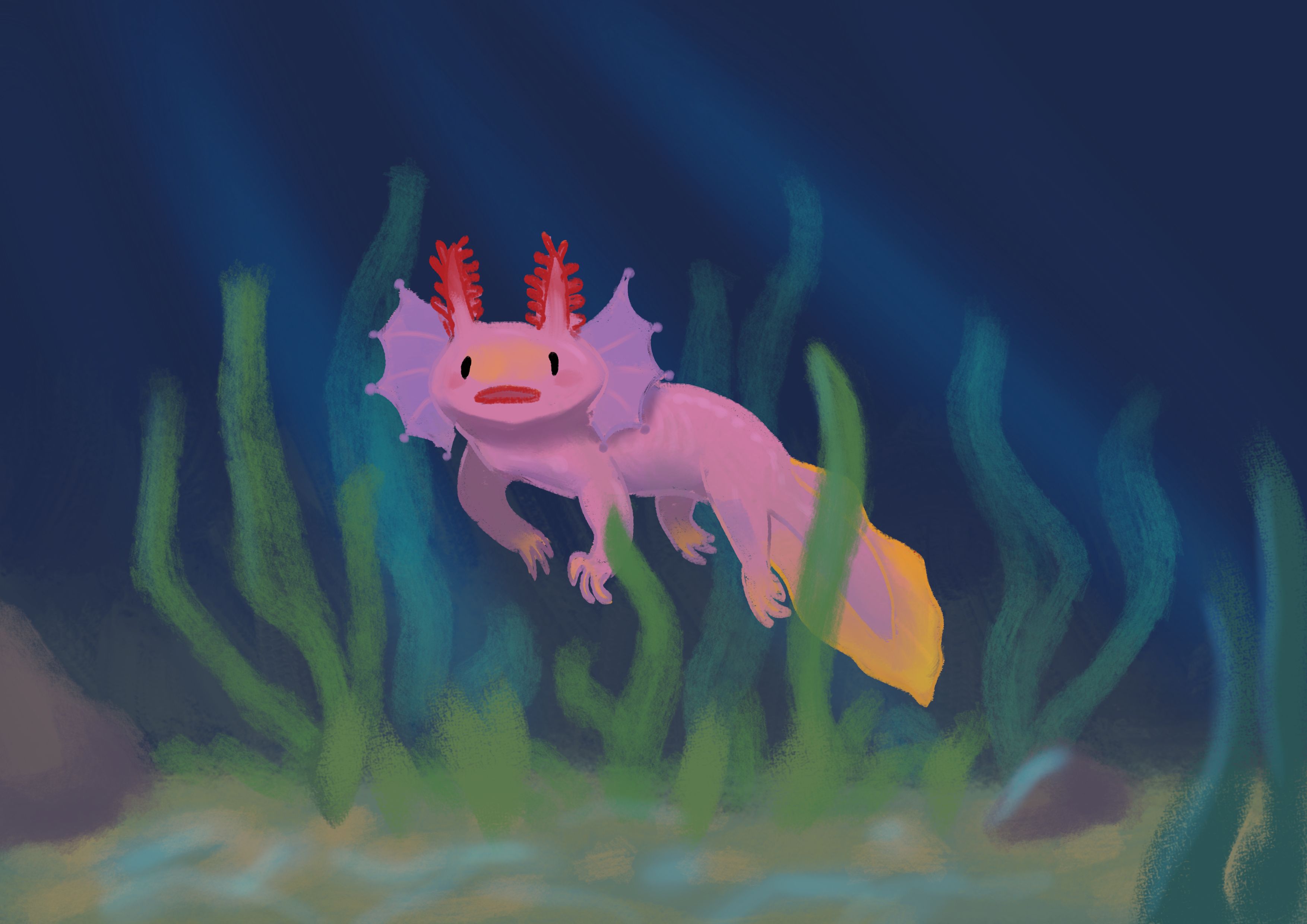 Детишка аксолотля