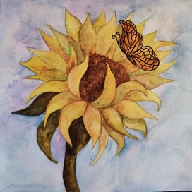 "подсолнух"