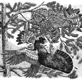 Глухариный душегуб.