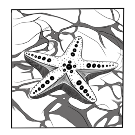 Starfish