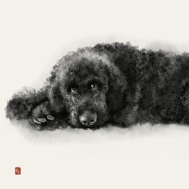 глаза напротив 