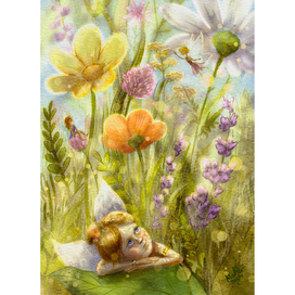 Феи среди нас