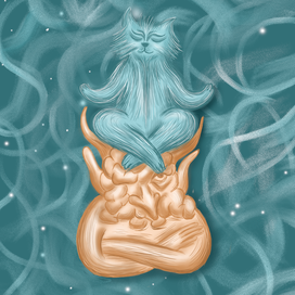 Котик левитирует