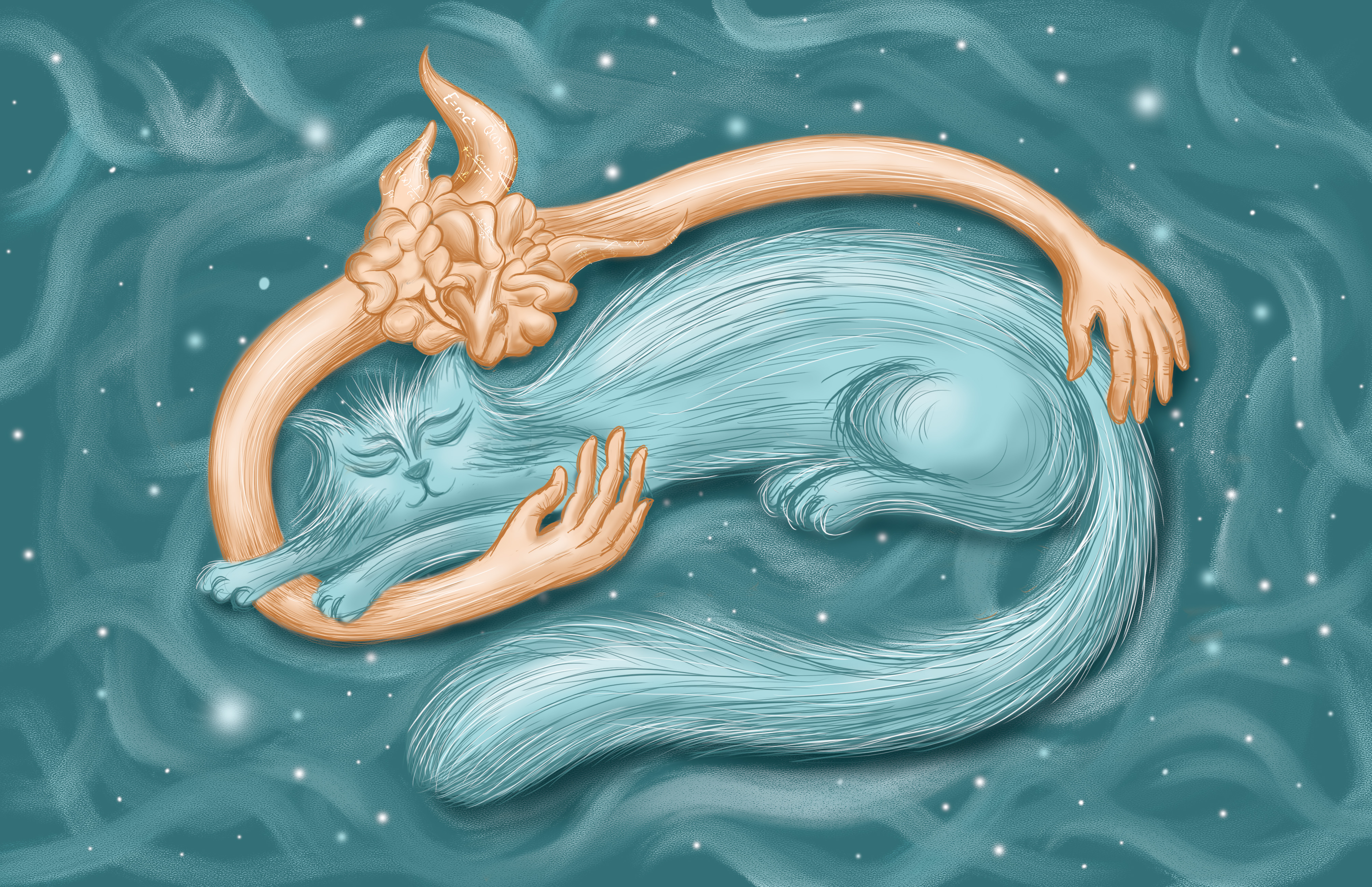 Котик медитировал и заснул