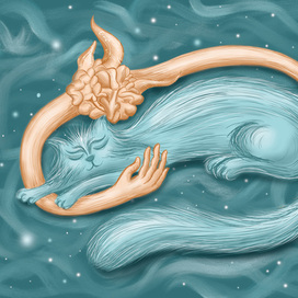 Котик медитировал и заснул