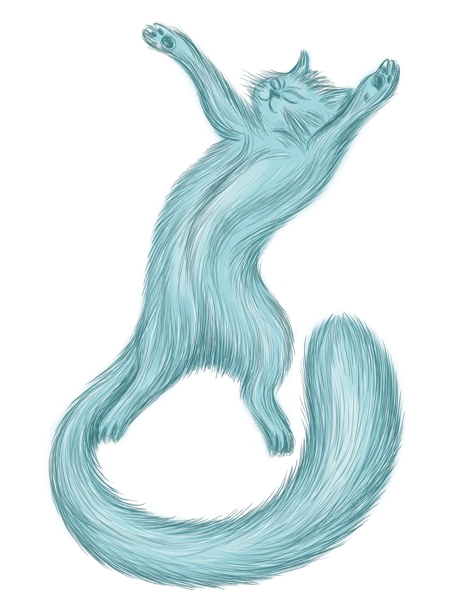 Котик с раскинутыми лапами