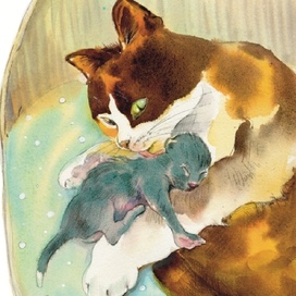 Тоська вылизывает Ченыша