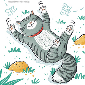 Письмо тринадцатое