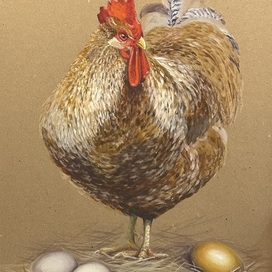 Курочка-ряба