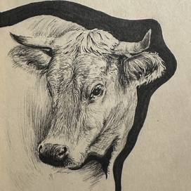 Без названия