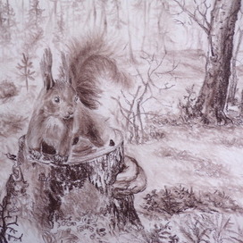 В Усинском лесу