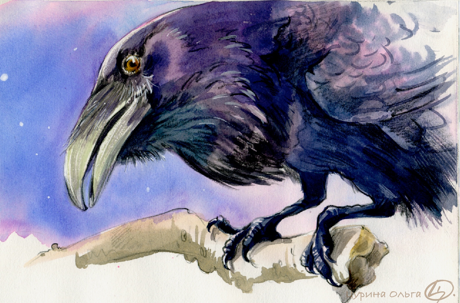 Ворон Катька