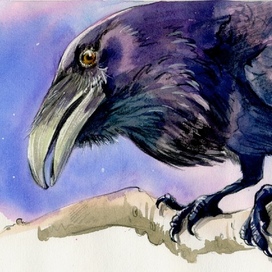 Ворон Катька