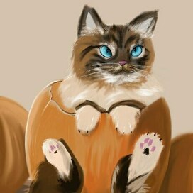 Кот на распродаже тыкв