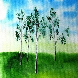 Самосейки березки