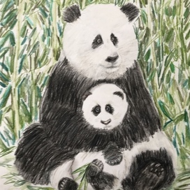 Панда с панденком 
