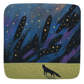 Ночное небо 