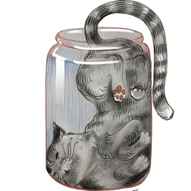 Кот в банке