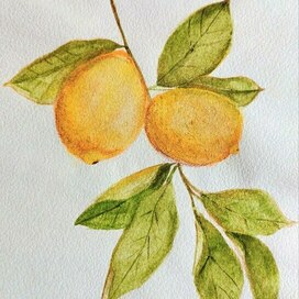 Плод раздора