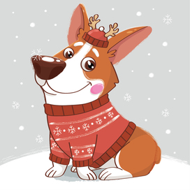 Первый снег!