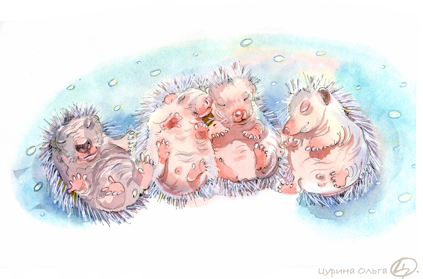 Ежата подрастают