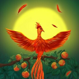 Жар-птица